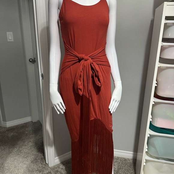 Vici Terracotta Fringe Maxi Dress - Picture 7 of 10